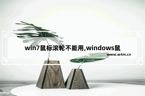 win7鼠标滚轮不能用,windows鼠标滚轮没反应