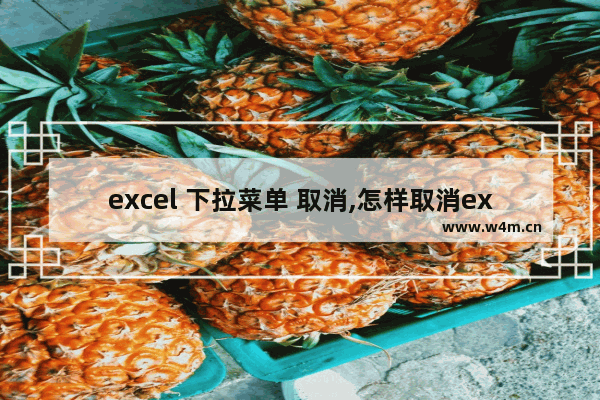 excel 下拉菜单 取消,怎样取消excel下拉菜单