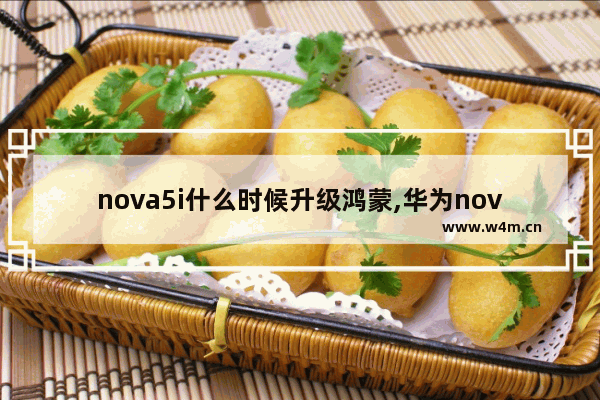 nova5i什么时候升级鸿蒙,华为nova5ipro怎么升级鸿蒙系统