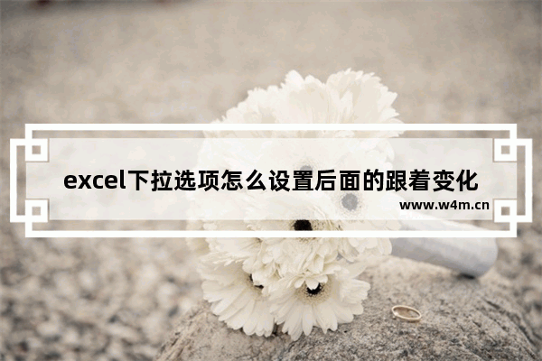 excel下拉选项怎么设置后面的跟着变化,excel表格中怎么改变下拉选项