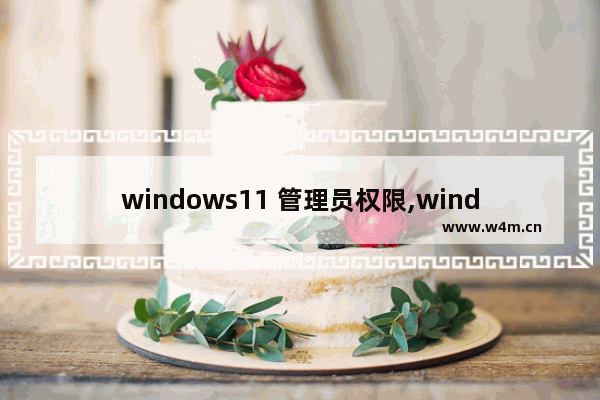 windows11 管理员权限,windows10获取管理员权限