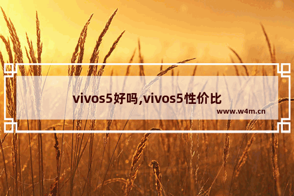 vivos5好吗,vivos5性价比