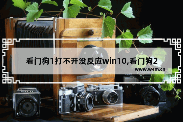 看门狗1打不开没反应win10,看门狗2win10进不去