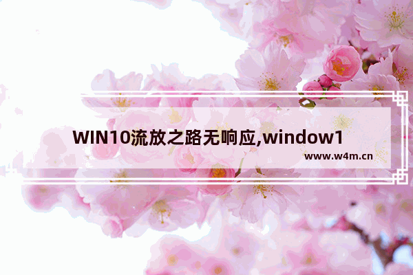 WIN10流放之路无响应,window10玩流放之路