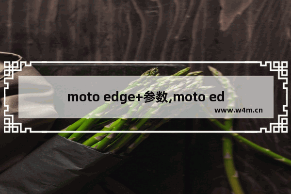 moto edge+参数,moto edge s中关村