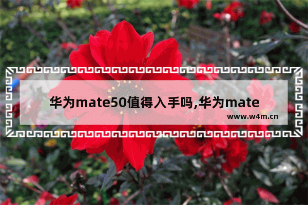 华为mate50值得入手吗,华为mate50