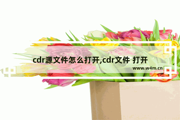 cdr源文件怎么打开,cdr文件 打开