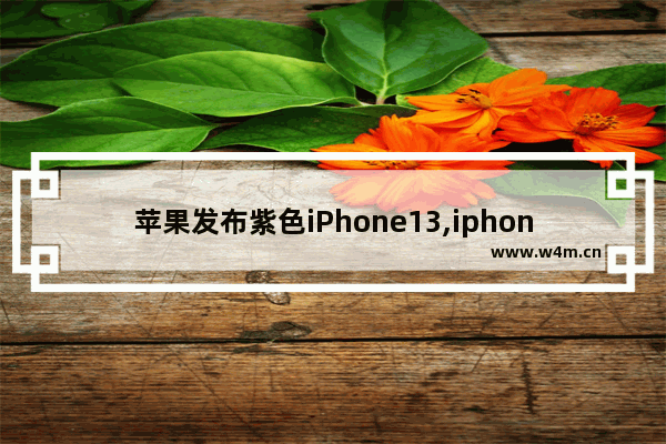 苹果发布紫色iPhone13,iphone12紫色上市时间