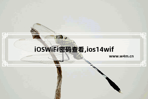 iOSWiFi密码查看,ios14wifi密码查看