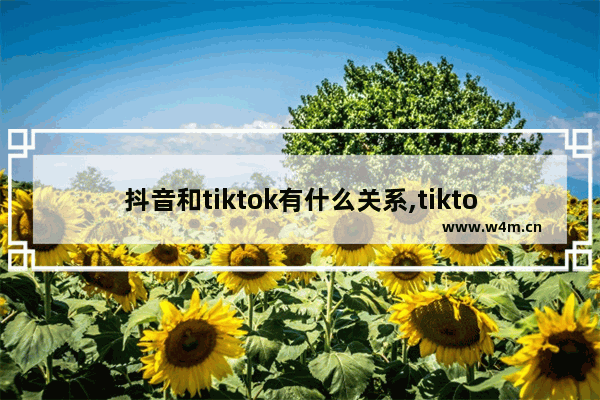 抖音和tiktok有什么关系,tiktok和抖音数据互通吗