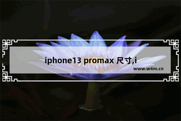 iphone13 promax 尺寸,iphone13promax尺寸大小