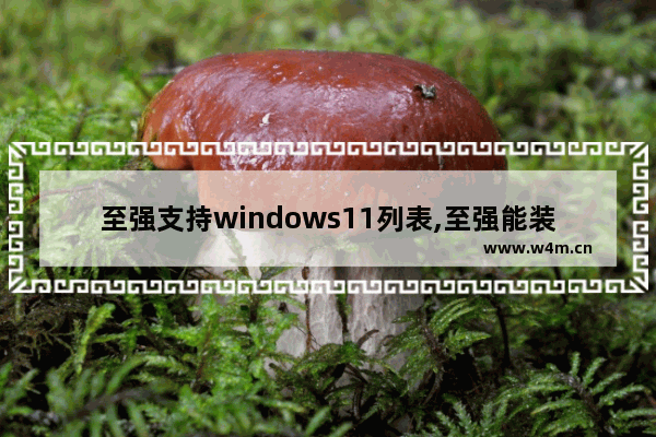 至强支持windows11列表,至强能装win10吗