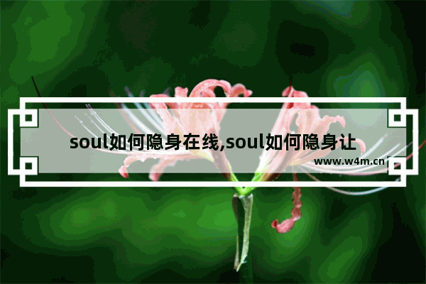 soul如何隐身在线,soul如何隐身让所有人都看不到