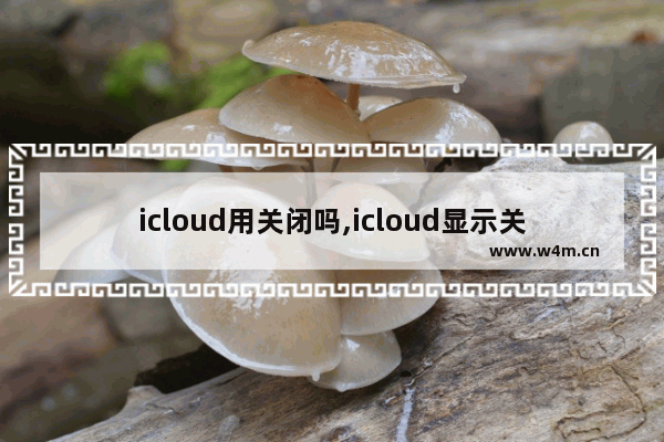 icloud用关闭吗,icloud显示关闭是什么意思