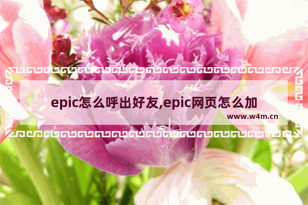 epic怎么呼出好友,epic网页怎么加好友