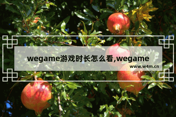 wegame游戏时长怎么看,wegame看自己玩的时间