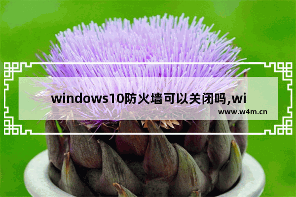 windows10防火墙可以关闭吗,win10如何暂时关闭防火墙