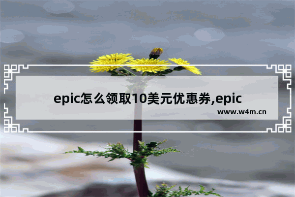 epic怎么领取10美元优惠券,epic10美元优惠券