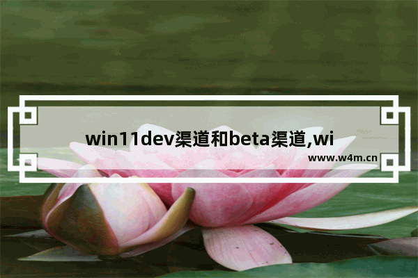 win11dev渠道和beta渠道,windows11选dev渠道还是beta渠道