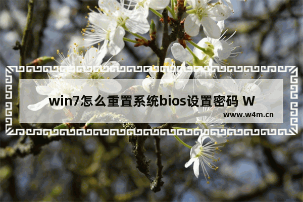 win7怎么重置系统bios设置密码 Win7如何重置BIOS密码