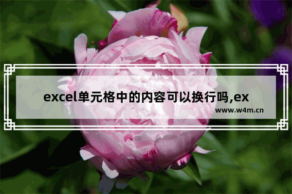 excel单元格中的内容可以换行吗,excel表格中文字换行,格子会主动调吗