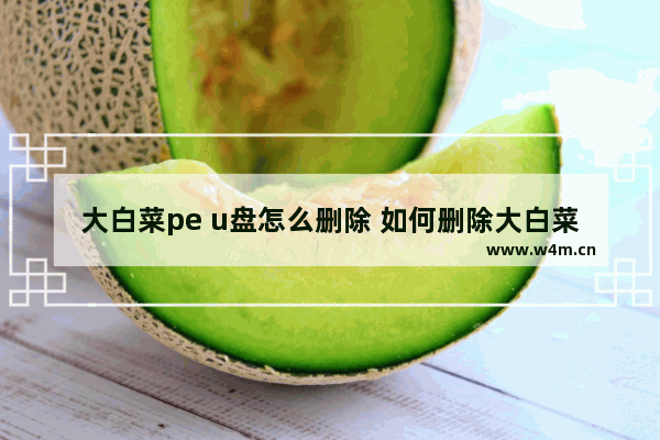 大白菜pe u盘怎么删除 如何删除大白菜PE U盘？