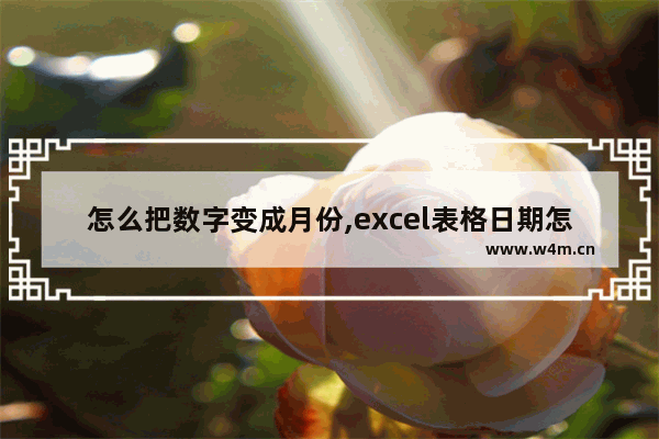 怎么把数字变成月份,excel表格日期怎么会变数字