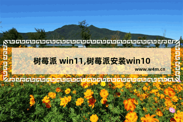 树莓派 win11,树莓派安装win10系统