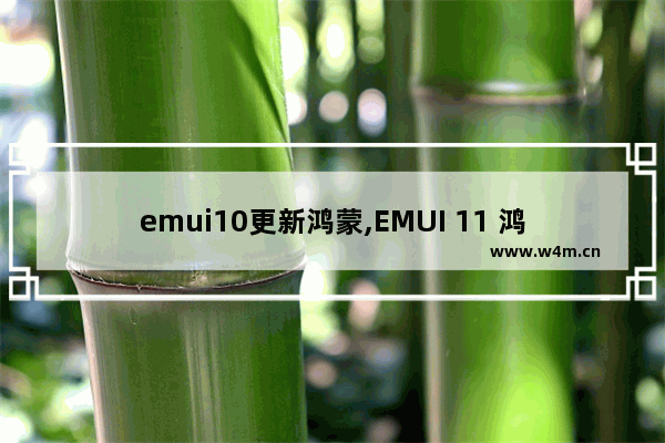 emui10更新鸿蒙,EMUI 11 鸿蒙