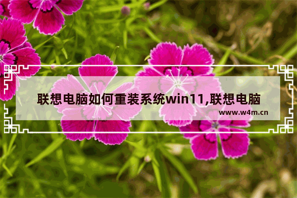 联想电脑如何重装系统win11,联想电脑如何重装系统win7