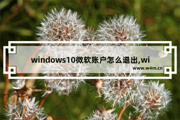 windows10微软账户怎么退出,windows11怎么退出账户