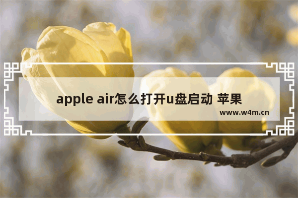 apple air怎么打开u盘启动 苹果电脑Air如何使用U盘启动