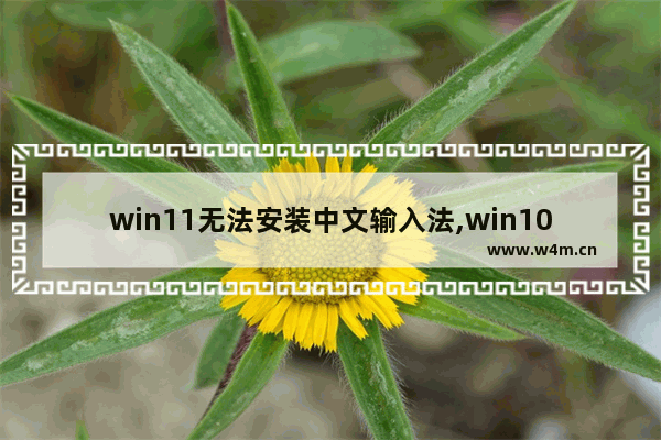 win11无法安装中文输入法,win10安装无法打字