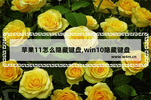 苹果11怎么隐藏键盘,win10隐藏键盘怎么打开