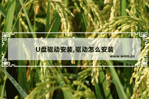 U盘驱动安装,驱动怎么安装