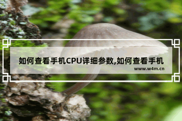 如何查看手机CPU详细参数,如何查看手机cpu性能