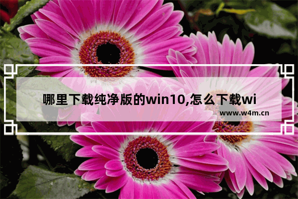 哪里下载纯净版的win10,怎么下载win10纯净版系统