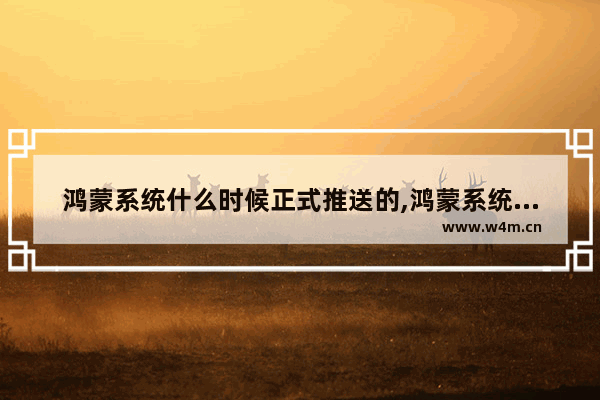 鸿蒙系统什么时候正式推送的,鸿蒙系统什么时候正式推送微信