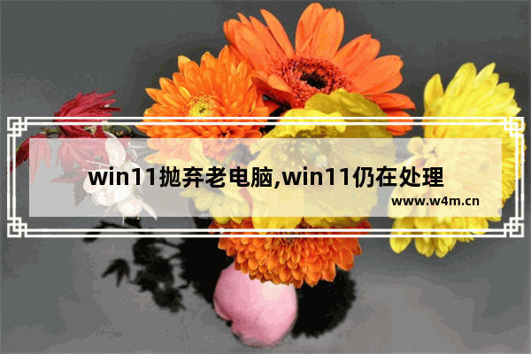 win11抛弃老电脑,win11仍在处理一些问题马上就好