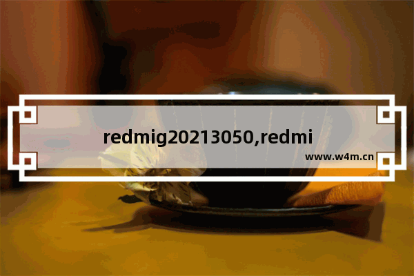 redmig20213050,redmig2021首发价