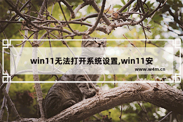 win11无法打开系统设置,win11安装完打不开设置