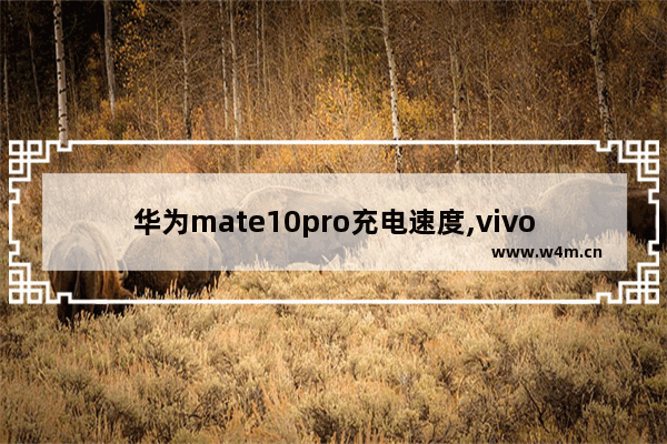 华为mate10pro充电速度,vivos10pro充电速度