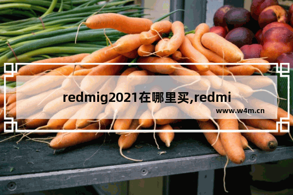 redmig2021在哪里买,redmig2021京东