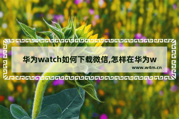 华为watch如何下载微信,怎样在华为watch2上下载微信