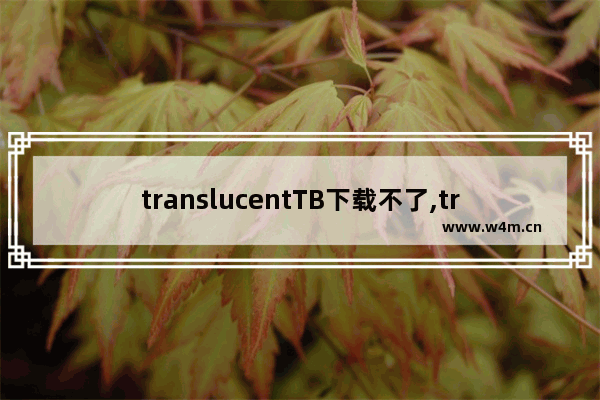 translucentTB下载不了,translucent不能下载