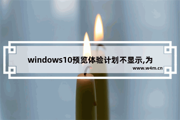 windows10预览体验计划不显示,为什么windows预览体验计划什么都没有