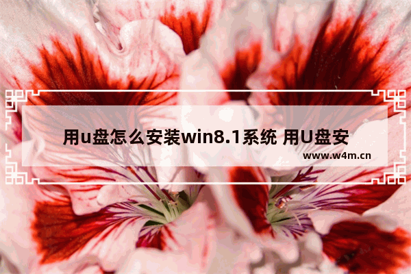 用u盘怎么安装win8.1系统 用U盘安装Win8.1系统，操作流程大揭秘