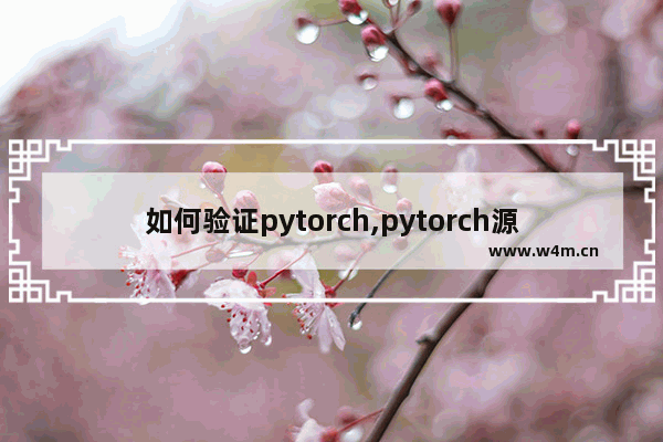 如何验证pytorch,pytorch源码怎么看