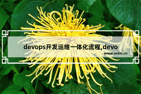 devops开发运维一体化流程,devops平台搭建