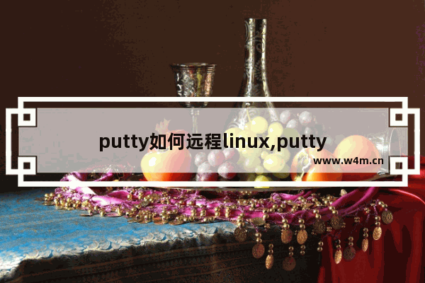 putty如何远程linux,putty执行命令